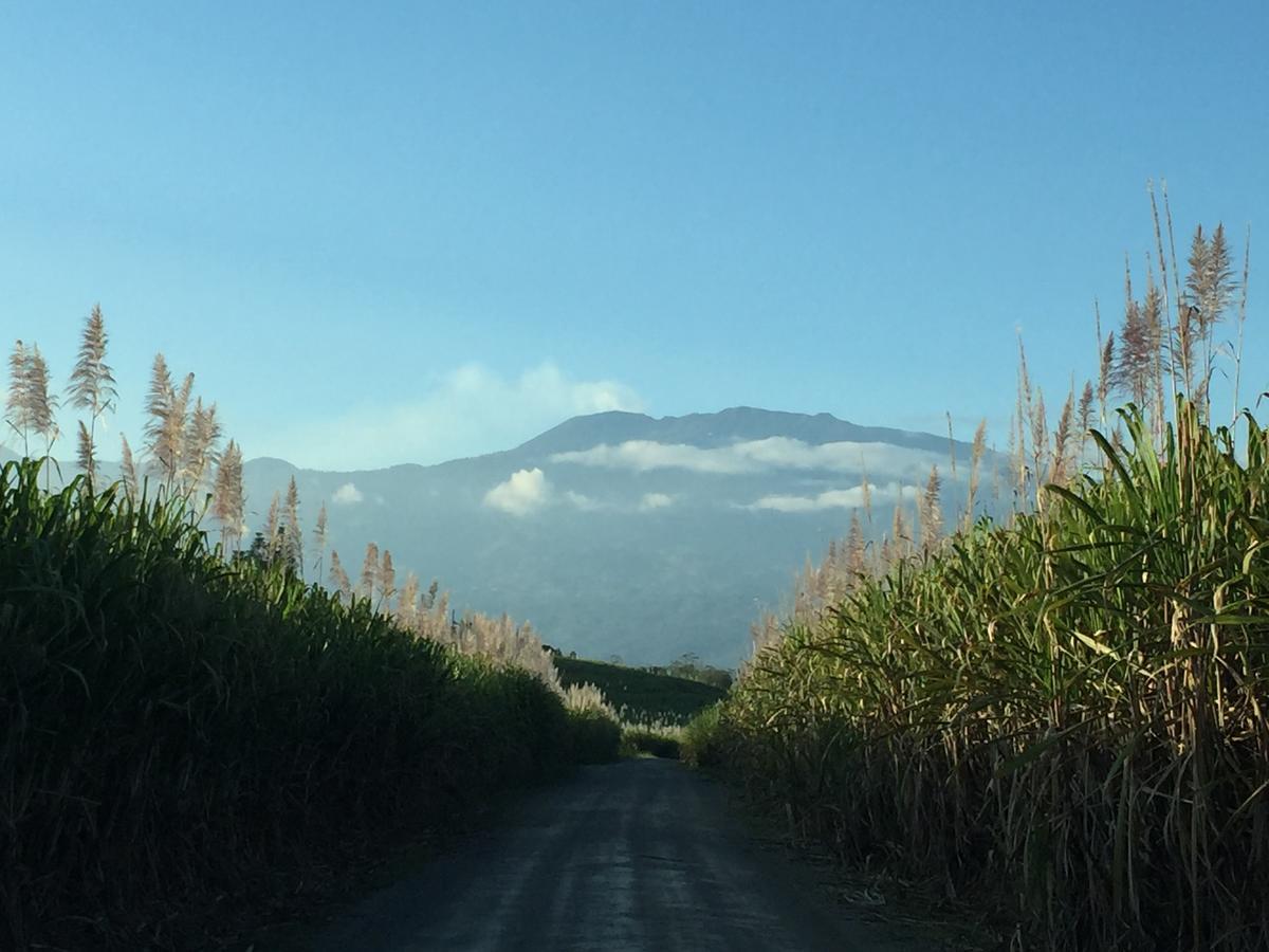 Hotel Villa Florencia Turrialba Luaran gambar